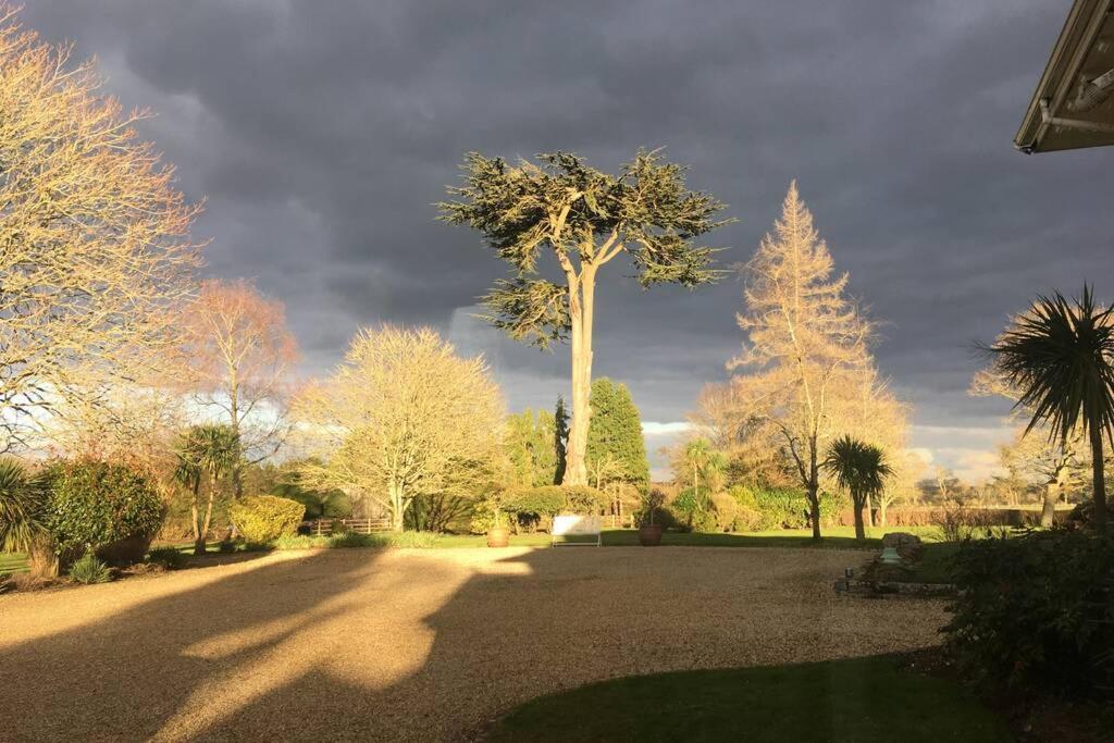 Stay On The Grounds Of This Beautiful Manor House Wimborne Minster Exterior photo